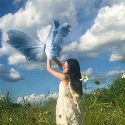 亚西西的圣方济各